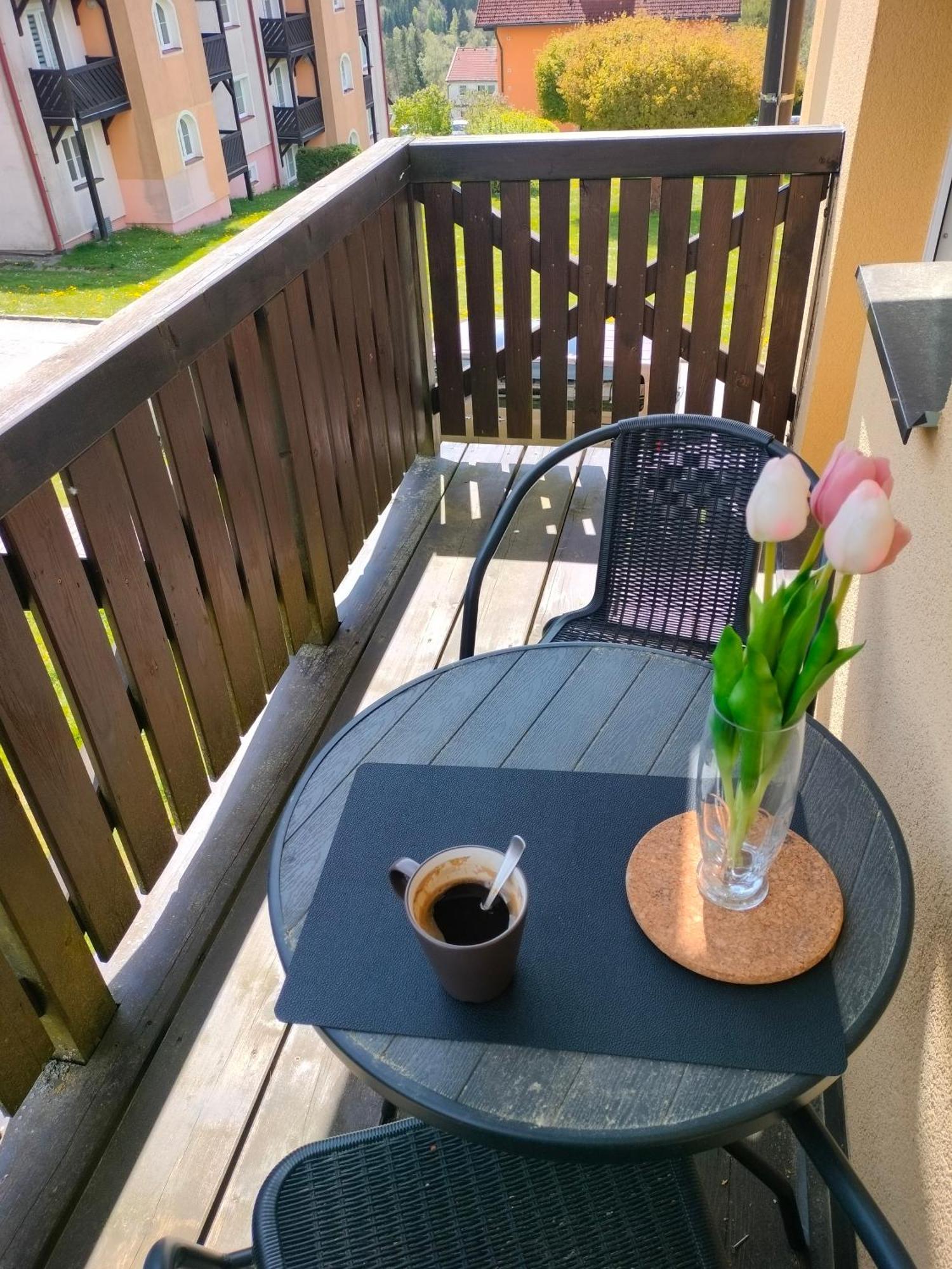 Apartman Aja - Lipno Nad Vltavou Dış mekan fotoğraf